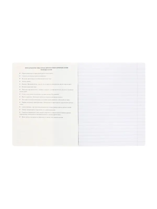 Тетрадь 48 листов в линию &laquo;Буквица&raquo; ЛИТЕРАТУРА, обложка мелованный картон, матовая ламинация, тиснение фольгой, с интерактивным справочником...