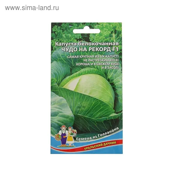 Семена Капусты белокочанной "Чудо на рекорд" F1 позднеспелый,крупнокочанный, 0,3 г