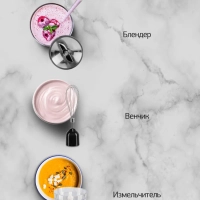 Блендер погружной HYB-H3824 800Вт серебристый