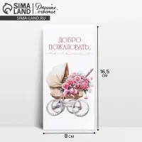 Конверт для денег &laquo;Добро пожаловать, малышка&raquo;, 16.5&times;8 см