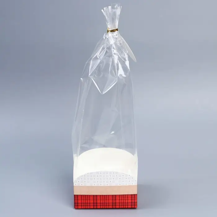 Пакет с коробкой &laquo;Новый год&raquo;, 12 х 12 х 40 см