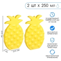 Аккумулятор холода гелевый "Мастер К. Ананас", набор 2 штуки по 250 мл, хладоэлемент для термосумок,