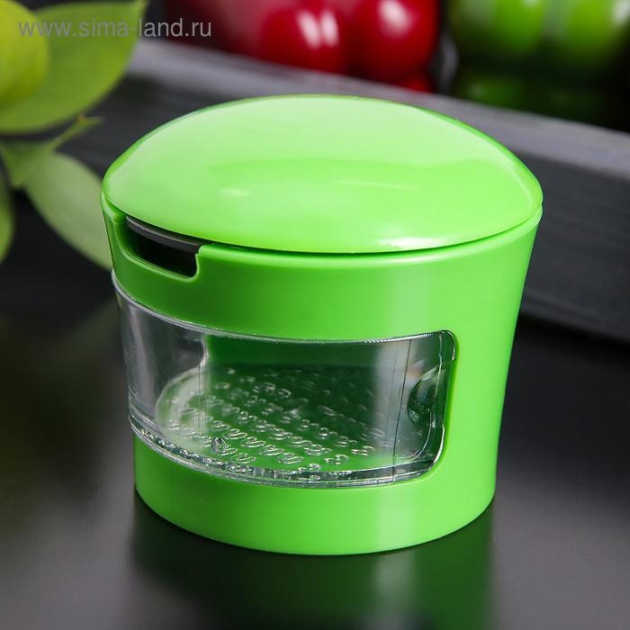 Приспособление для нарезки чеснока &laquo;Прино&raquo;, 2 насадки, 7,5&times;7,5&times;6 см, цвет зелёный