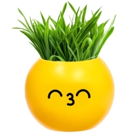 Набор для опытов, для детей &laquo;Выращиваем травку&raquo;, растение в горшочке - эмодзи &laquo;Поцелуйчик&raquo;