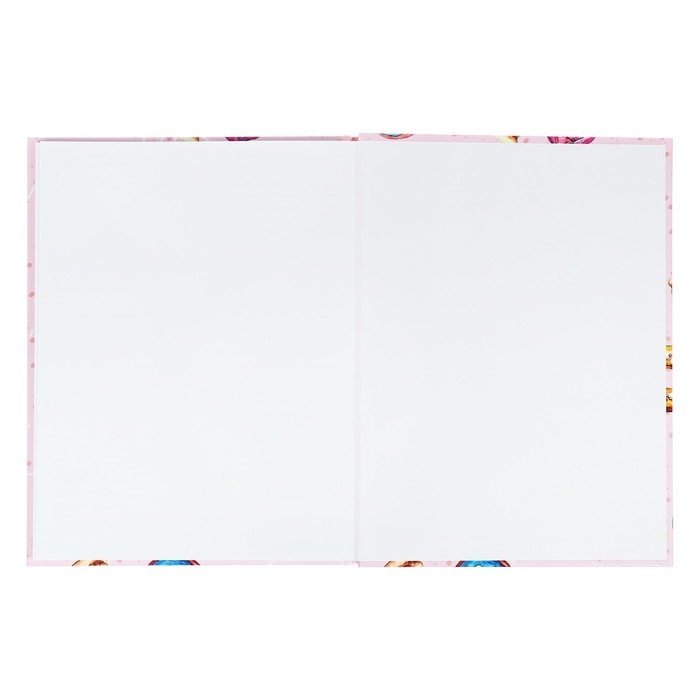 Дневник универсальный для 1-11 классов, "Пончики", твердая обложка 7БЦ, глянцевая ламинация, 40 листов