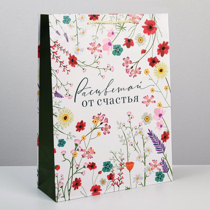 Пакет подарочный ламинированный, упаковка, &laquo;Расцветай от счастья&raquo;, L 28 х 38 х 9 см