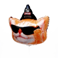 Воздушные шары фольгированные 18" &laquo;Коты с днем рождения&raquo; , 2 шт.