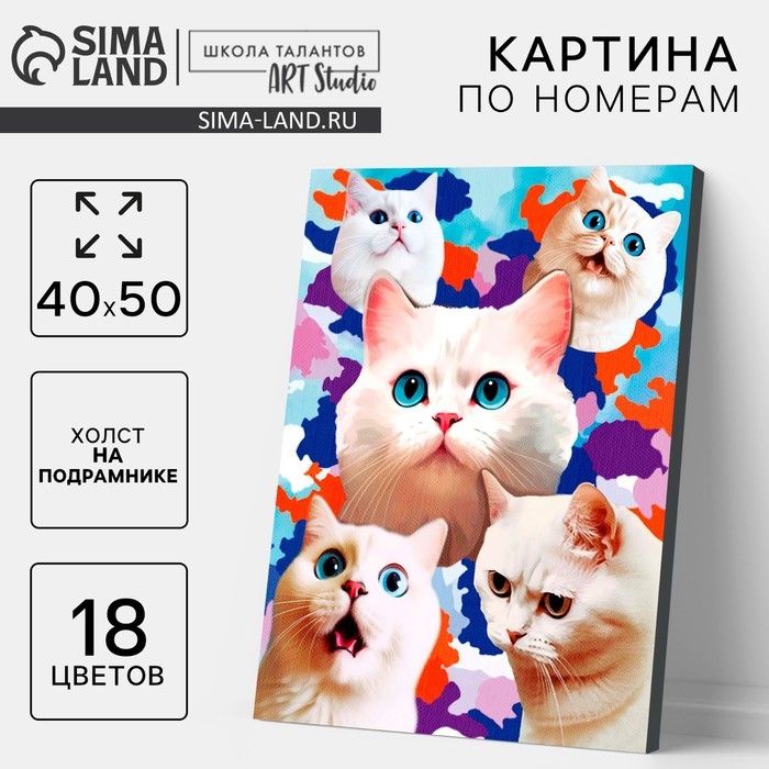 Картина по номерам на холсте с подрамником &laquo;Белые котята&raquo;, 40 х 50 см