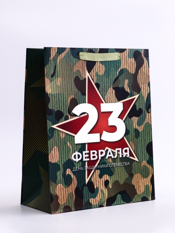 Пакет подарочный вертикальный &laquo;Защита&raquo;,  M 26 &times; 32 &times; 12 см