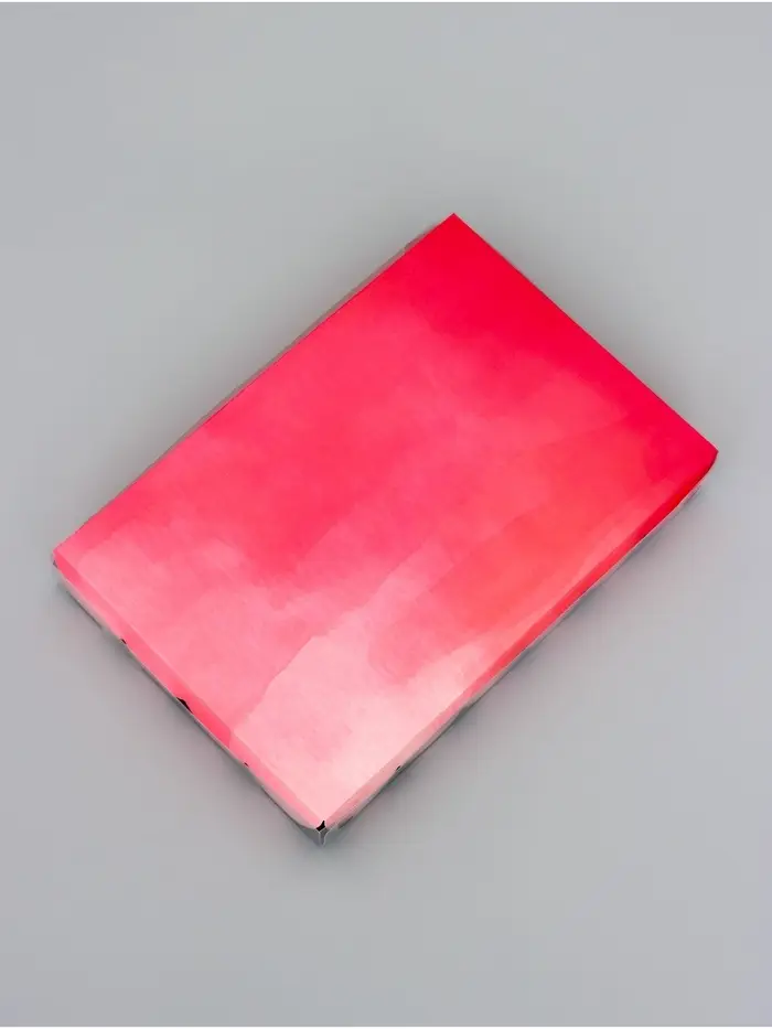 Коробка для печенья, &laquo;Тюльпаны&raquo;, 22&times;15&times;3 см