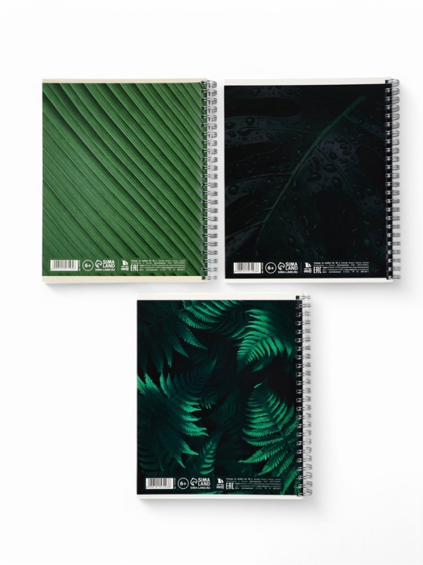 Тетрадь А5, 96 листов на спирали, 3 шт. &laquo;Nature&raquo; МИКС