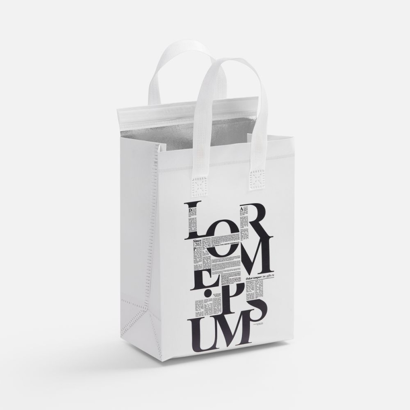 Термосумка для напитков &laquo;Термобэг&raquo; на заказ, S