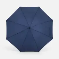 Зонт-трость Rainzee, темно-синий