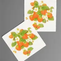 Салфетки бумажные Гармония цвета многоцветие "Земляника", 24*24 см 50 листов