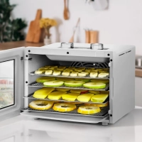 Дегидратор сушилка для овощей фруктов пастила КТ-1915