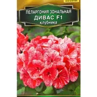 Семена цветов Пеларгония Дивас F1 клубника Мн Золотая серия, Ц/П,3 шт.