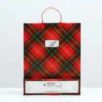 Пакет "Шотландия", мягкий пластик, 40 x 32 см, 120 мкм