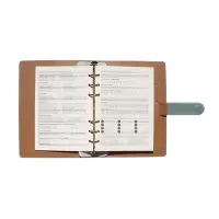 Органайзер на кольцах, C6, с хлястиком, 80л, линия, к/зам, Зеленый