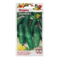 Семена Огурец "Феникс" 0,5 г