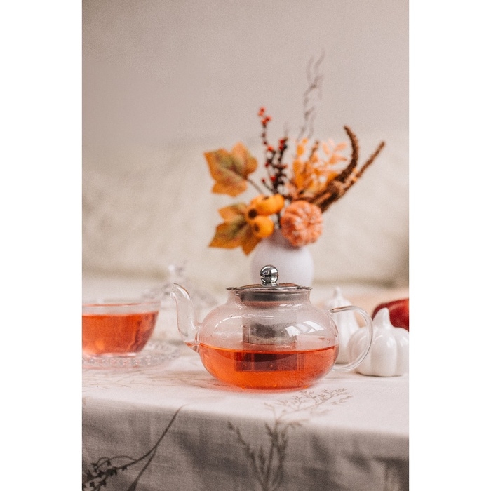 Чайник стеклянный заварочный с металлическим ситом Доляна &laquo;Калиопа&raquo;, 600 мл