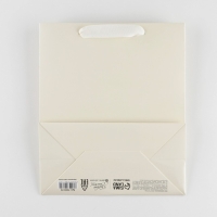 Пакет подарочный ламинированный, упаковка, &laquo;Молочный&raquo;, ML 23 х 27 х 11.5 см