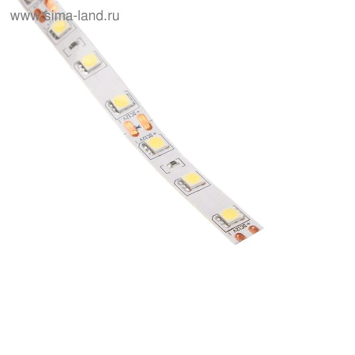 Светодиодная лента Ecola PRO 5 м, IP20, SMD5050, 60 LED/м, 14.4 Вт/м, 12 В, 6000К