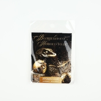 Ароматизатор на вешалке новогодний &laquo;Новый год: Волшебного нового года&raquo;, аромат жасмин, 8 х 15,5 см