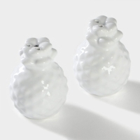 Набор для специй Доляна &laquo;Ананас&raquo;, 2 предмета: солонка 70 мл, перечница 70 мл, цвет белый