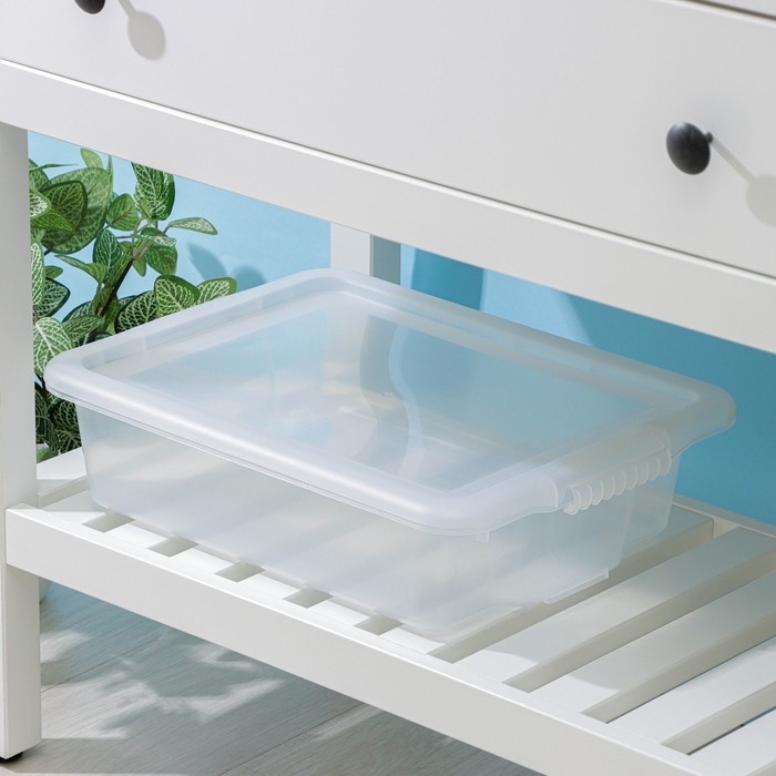 Контейнер для хранения с крышкой Porter, 8 л, 43&times;31,5&times;11 см, цвет прозрачный