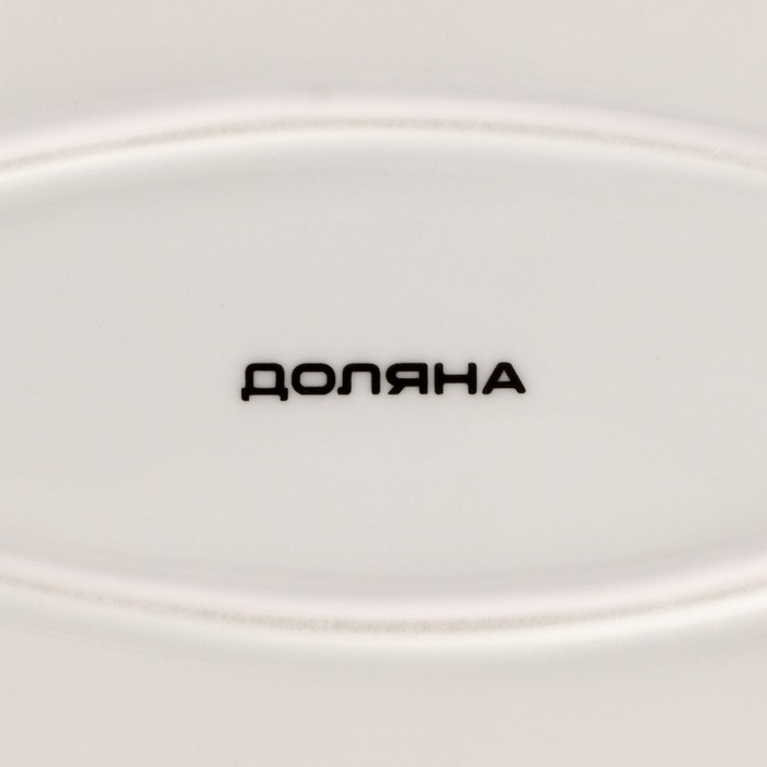 Блюдо фарфоровое Доляна &laquo;Млечный путь&raquo;, 29,5&times;17,5 см, цвет белый в крапинку