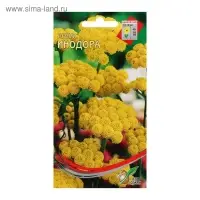 Семена цветов Лонас "Инодора", 100 шт