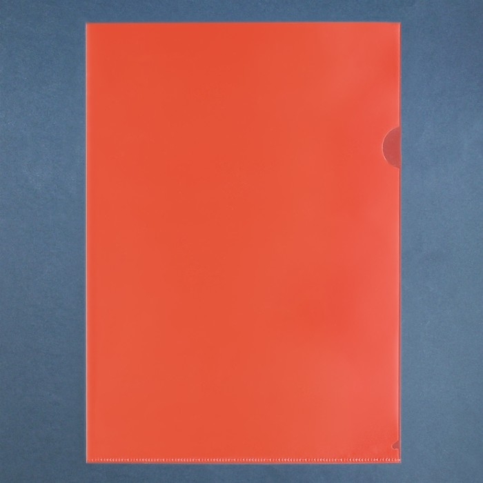 Набор папок-уголков А4, 100 мкм, Calligrata Выгодные, прозрачные, 5 штук, микс