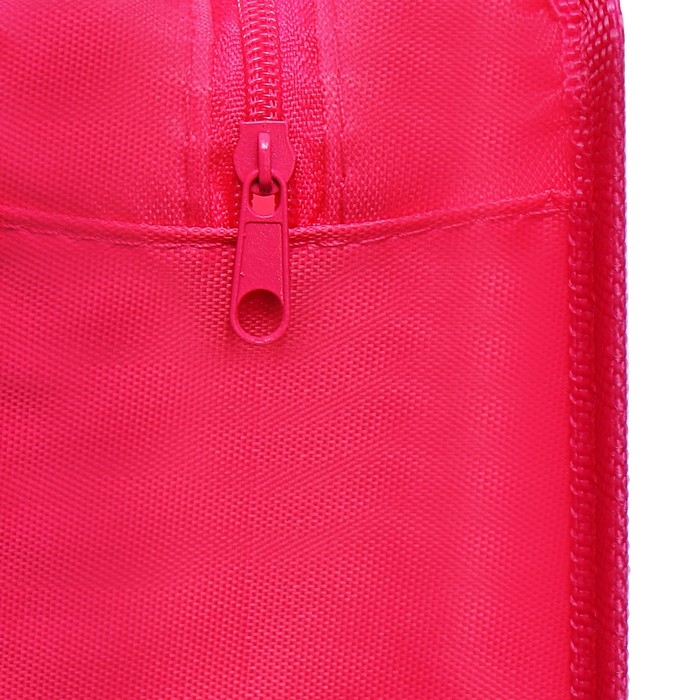 Папка с ручками пластиковая А4 Calligrata "Собачки", 32,2х25,6х7 см,