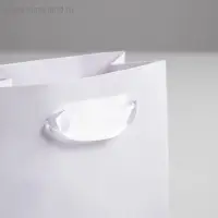 Пакет подарочный, упаковка &laquo;Белый&raquo;, 12&times;15&times;5.5 см