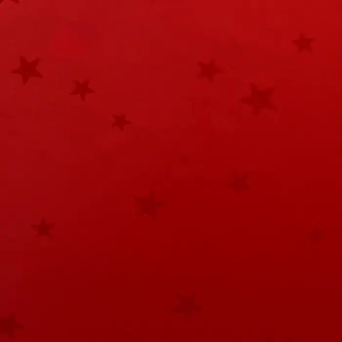 Пленка голография &laquo;Звёзды&raquo;, МИКС, 70&times;100 см