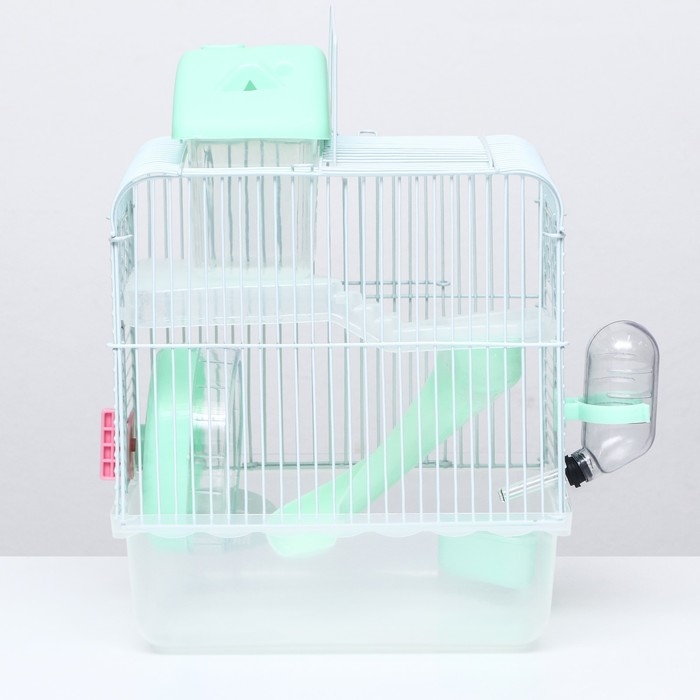 Клетка для грызунов "Пижон", 23 х 17 х 33 см, прозрачная, зелёное наполнение