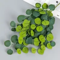 Цветы искусственные &laquo;Эвкалипт популус&raquo;, h=96 см, зелёные