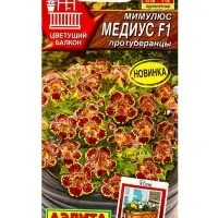 Семена цветов Мимулюс Медиус F1 протуберанцы  (драже) С. Cerny Цветущий балкон, Ц/П,10 шт.