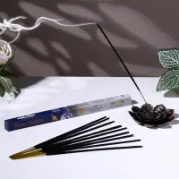 Благовония "Зодиак РАК &ndash; мята", 8 палочек