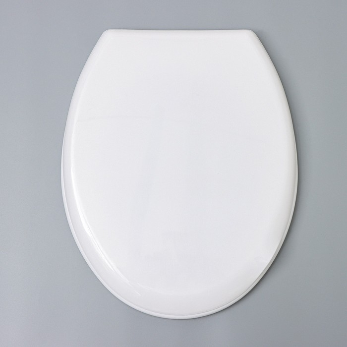 Сиденье для унитаза с крышкой, цвет снежно-белый