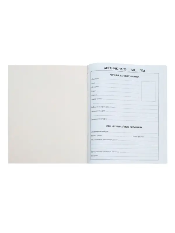 Дневник школьный для 1-11 классов, &laquo;Мрамор&raquo;, мягкая обложка, 40 листов