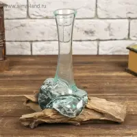 Ваза на дереве &laquo;Звезда&raquo; 20&times;17&times;13 см, стекло