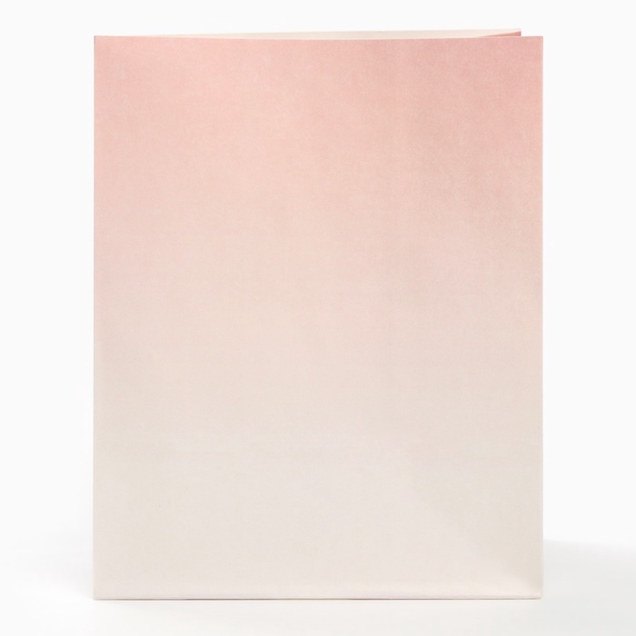 Набор крафтовых пакетов со стикерами, Принцессы, 18х22х12 см