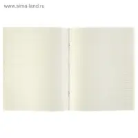 Тетрадь предметная 48 листов в клетку Calligrata, &laquo;Чёрное-белое. Физика&raquo;, обложка мелованная бумага, серые листы