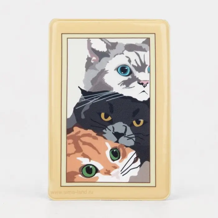 Обложка для проездного, пропуска, цвет бежевый/разноцветный