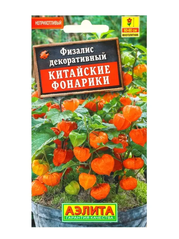 Семена цветов Физалис Китайские фонарики Мн, Ц/П,0,2 г