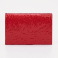 Обложка для паспорта, цвет красный