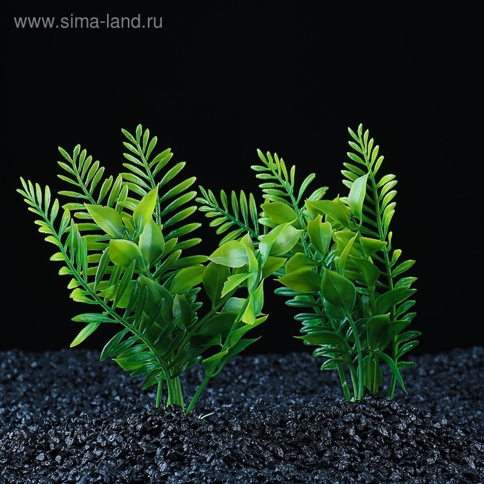 Набор растений искусственных для аквариума (2 шт), 15,5 см