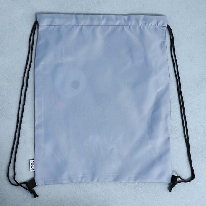 Мешок для обуви &laquo;Весёлый щенок&raquo; с дополнительными элементами, 30 х 40 см