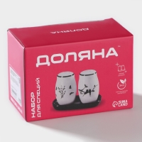 Набор для специй Доляна &laquo;Флора и Фауна&raquo;, 2 предмета: солонка, перечница 80 мл